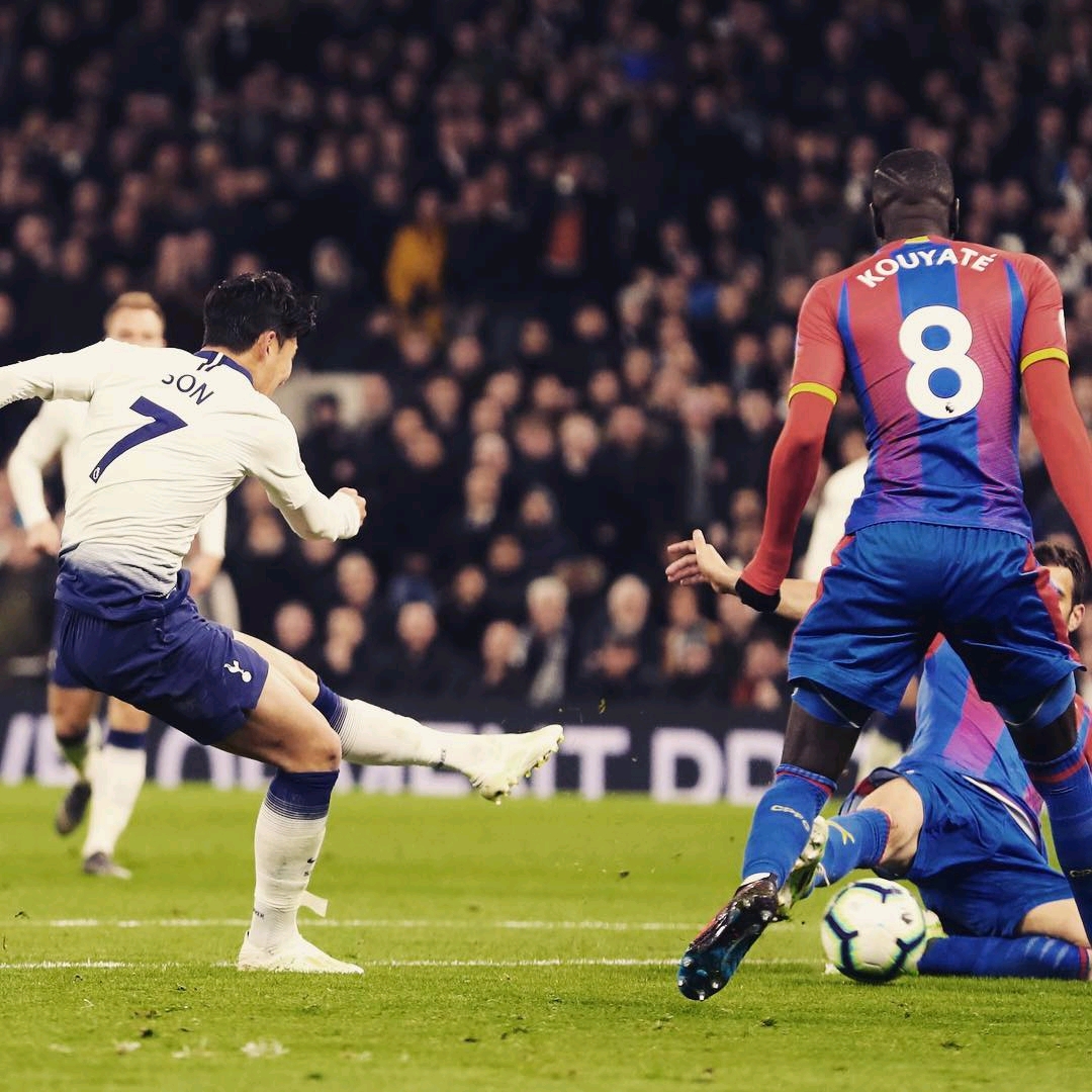 适应能力 适应能力