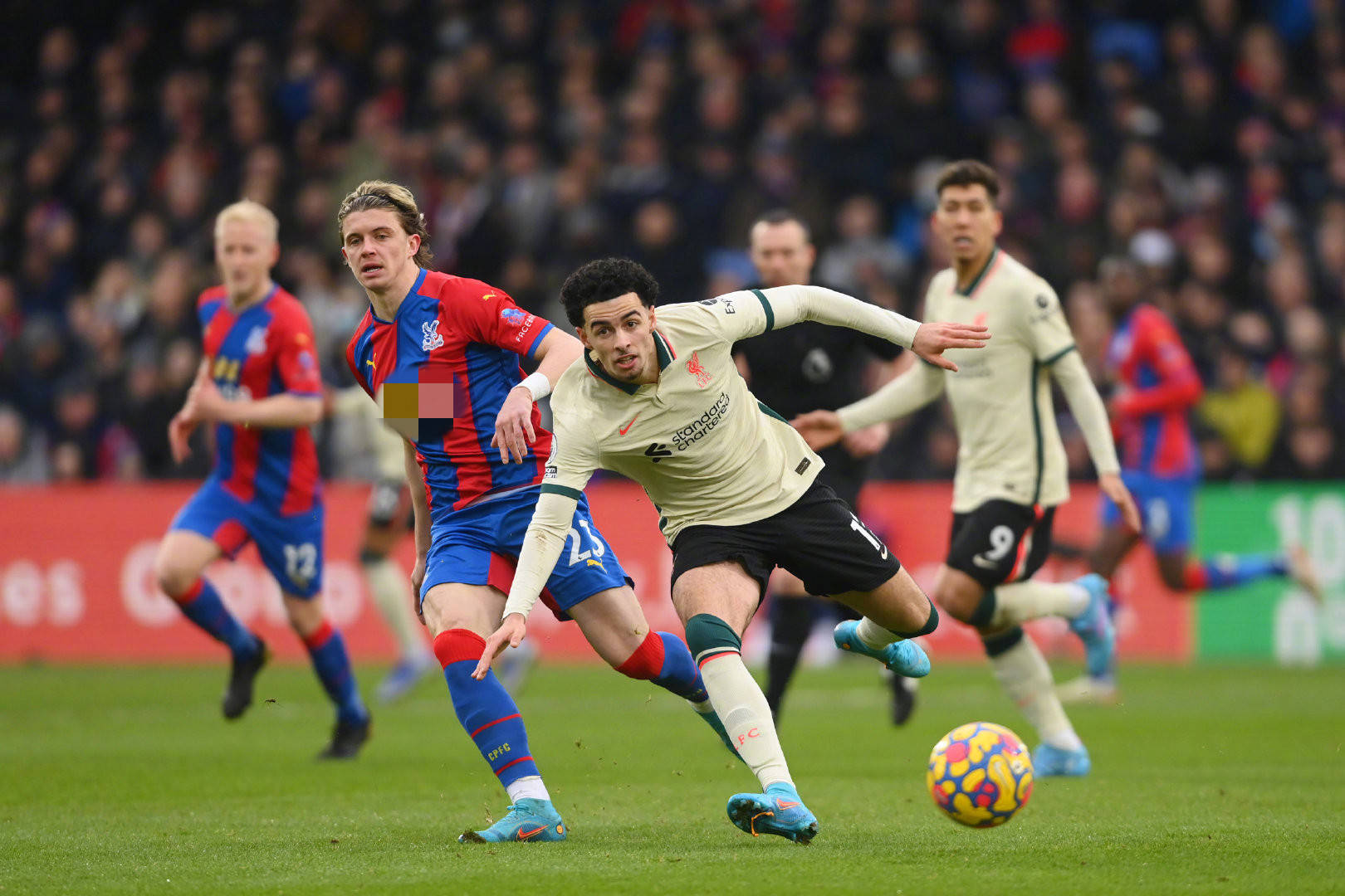 职业球员在 职业球员在